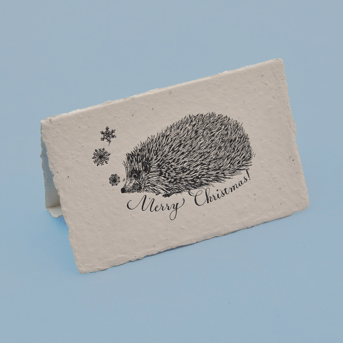 Christmas Hedgehog Seed Paper Greeting Card