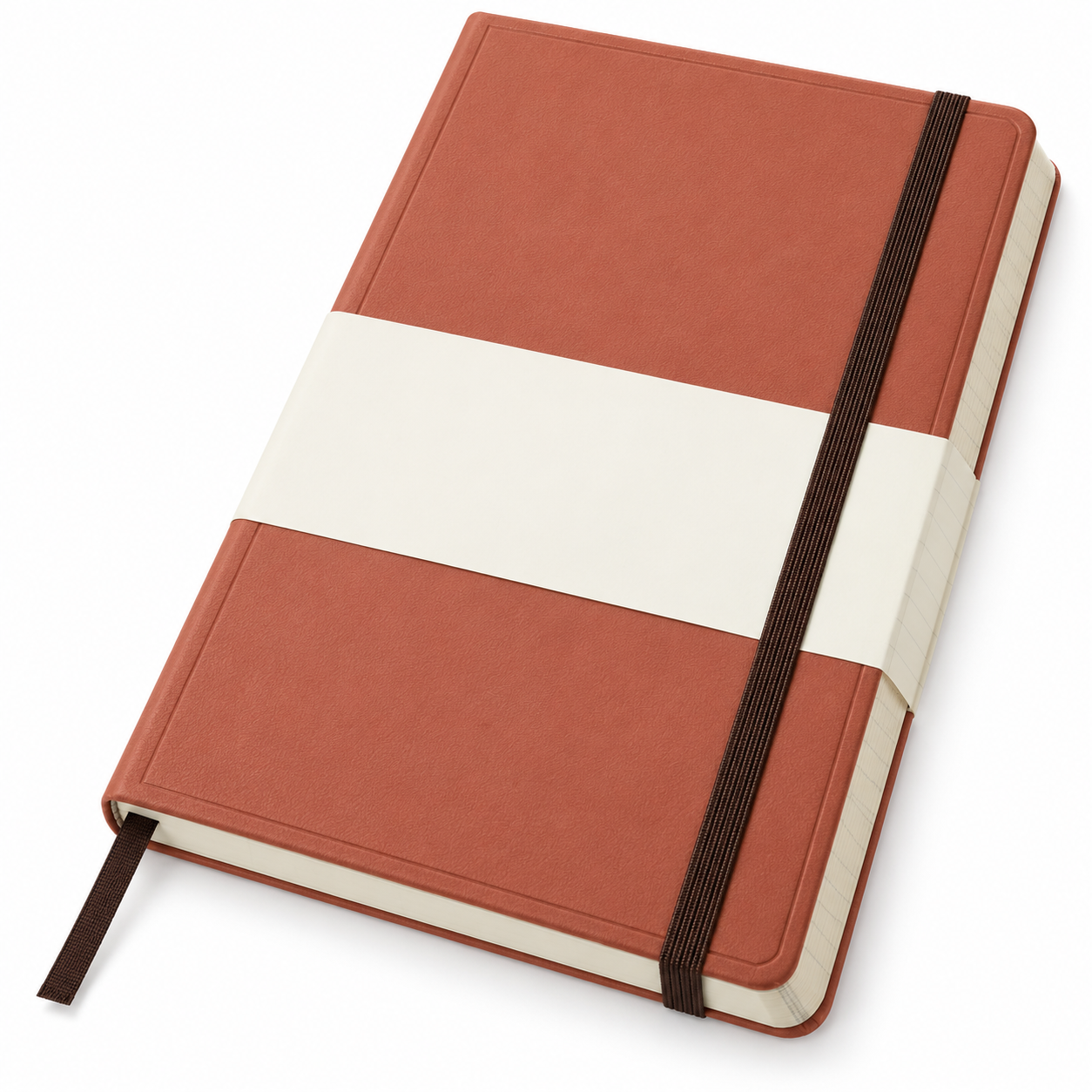 Moleskine Classic Large Ruled Notebook